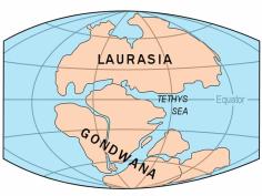 Лавразийский и гондванский континент